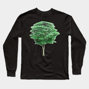 Green leafed tree, Tree Lindens Long Sleeve T-Shirt